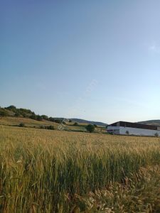 Arsa-Tarla