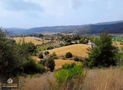 Arsa-Tarla