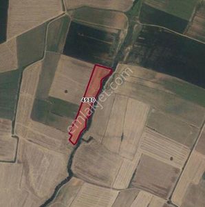Arsa-Tarla