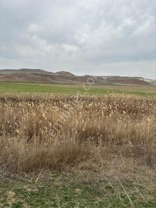 Arsa-Tarla
