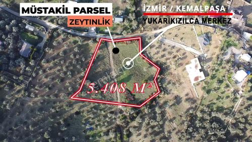 Arsa-Zeytinlik