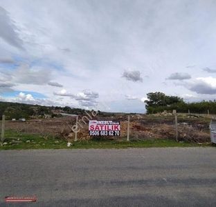 Arsa-Tarla