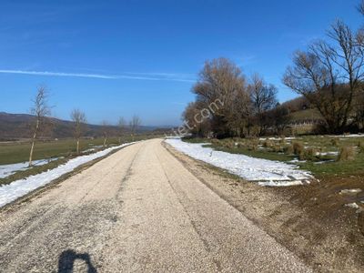 Arsa-Tarla
