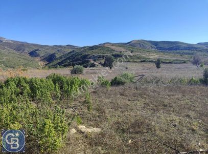Arsa-Tarla