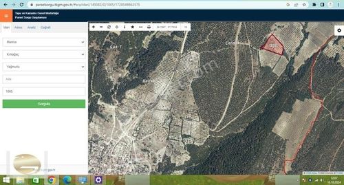 Arsa-Zeytinlik