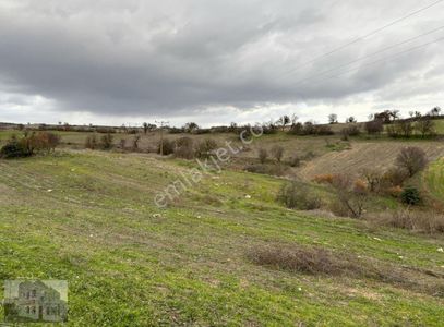Arsa-Tarla