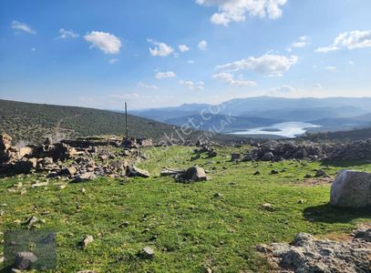 Arsa-Konut İmarlı