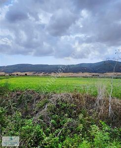 Arsa-Tarla