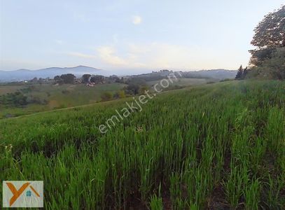 Arsa-Tarla