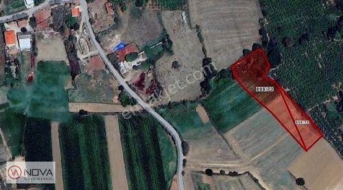 Arsa-Konut İmarlı