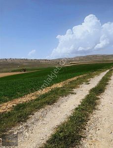 Arsa-Tarla