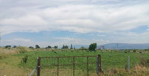 Arsa-Bağ & Bahçe
