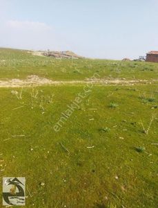 Arsa-Bağ & Bahçe