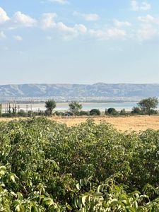 Arsa-Tarla