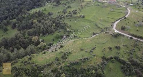 Arsa-Tarla