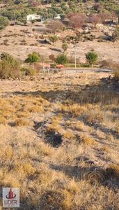 Arsa-Konut İmarlı