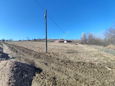 Arsa-Tarla