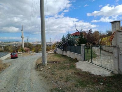 Arsa-Bağ & Bahçe