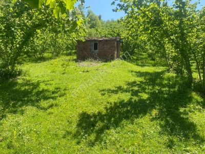 Arsa-Tarla