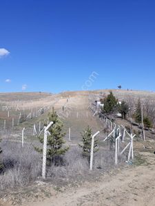 Arsa-Özel Kullanım