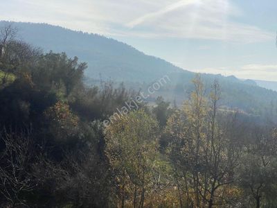 Arsa-Tarla