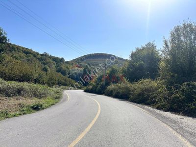Arsa-Konut İmarlı