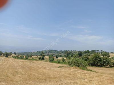 Arsa-Tarla