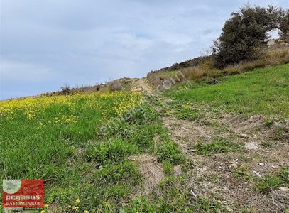 Arsa-Konut İmarlı