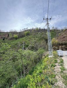 Arsa-Bağ & Bahçe