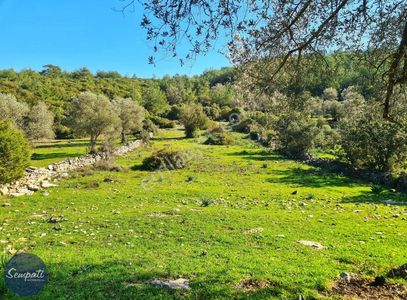 Arsa-Tarla