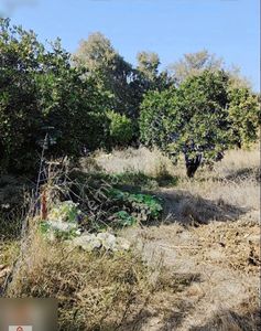 Arsa-Konut İmarlı