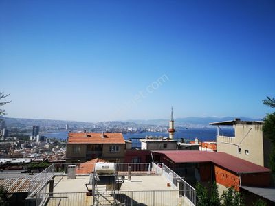 Konut-Müstakil Ev
