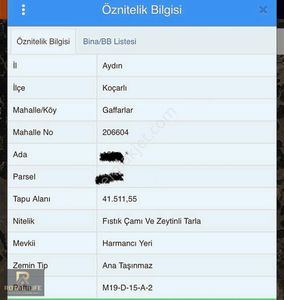 Arsa-Zeytinlik