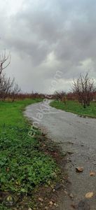 Arsa-Tarla