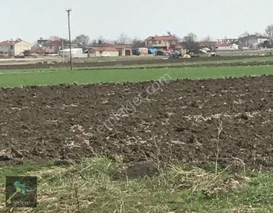 Arsa-Tarla