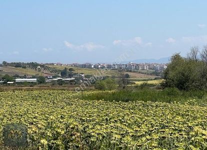Arsa-Tarla