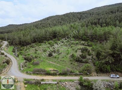 Arsa-Tarla