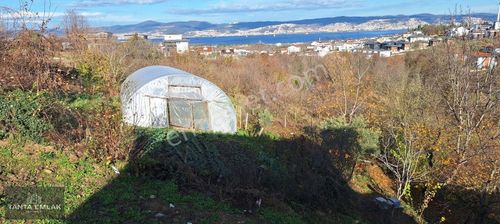 Arsa-Konut İmarlı