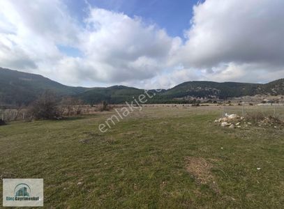 Arsa-Konut İmarlı