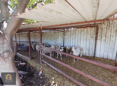 Arsa-Ticari İmarlı