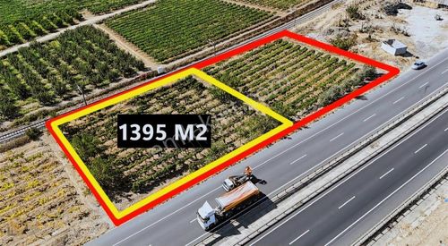 Arsa-Bağ & Bahçe