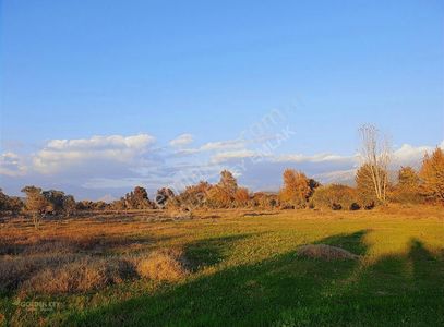 Arsa-Tarla