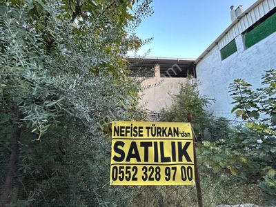 Arsa-Konut İmarlı