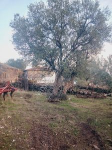Arsa-Konut İmarlı
