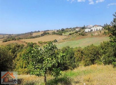 Arsa-Villa İmarlı