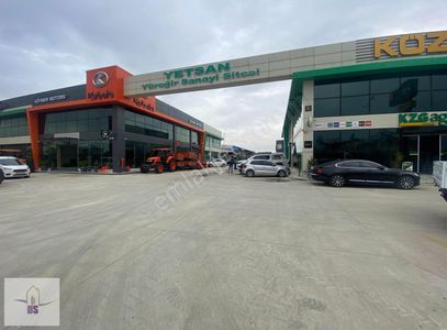 İşyeri-Dükkan & Mağaza