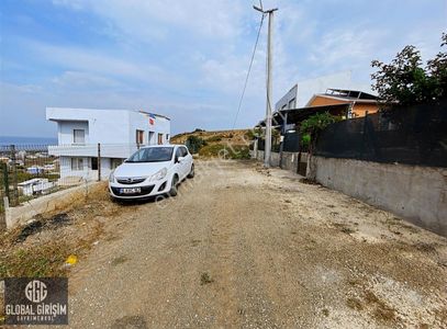 Arsa-Zeytinlik