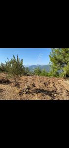 Arsa-Bağ & Bahçe