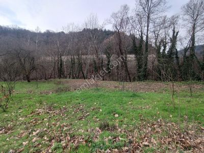 Arsa-Tarla
