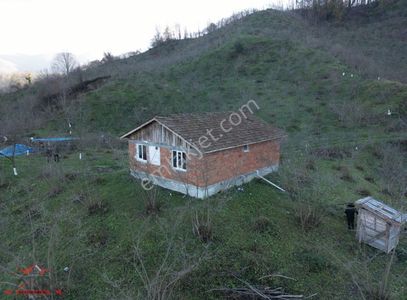 Arsa-Konut İmarlı